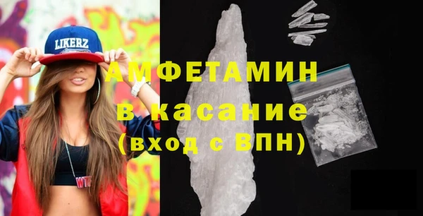 индика Ладушкин