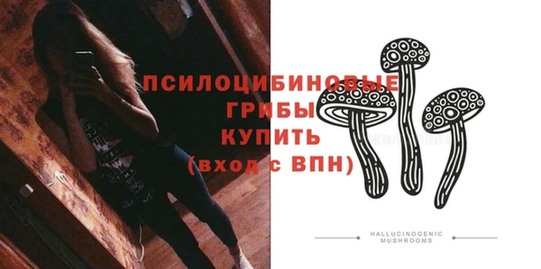 индика Ладушкин