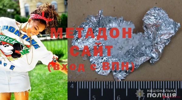 индика Ладушкин