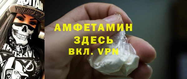 индика Ладушкин