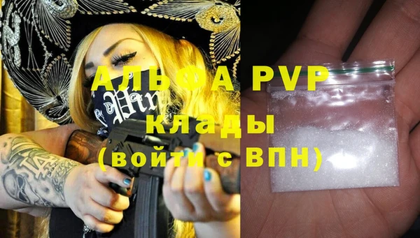 индика Ладушкин