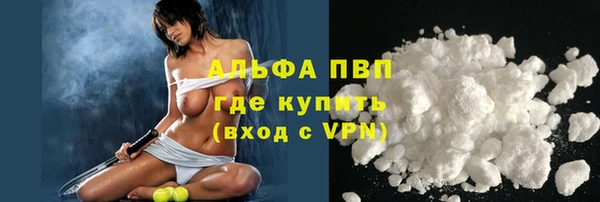 индика Ладушкин
