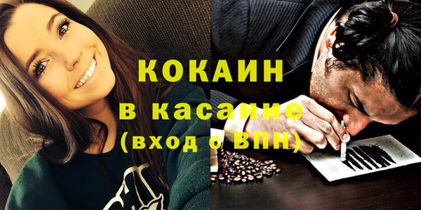 индика Ладушкин
