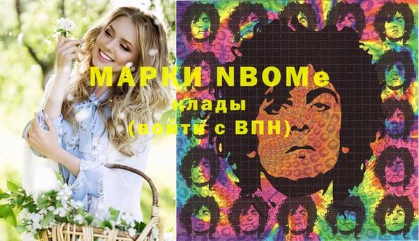 индика Ладушкин