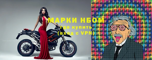 индика Ладушкин