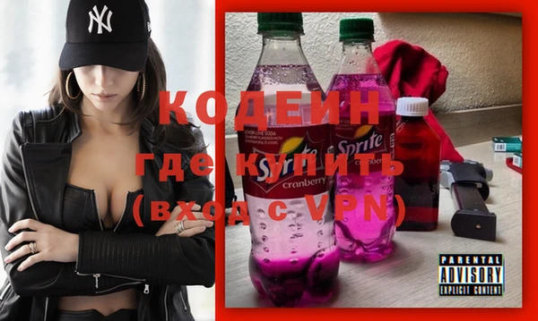 индика Ладушкин