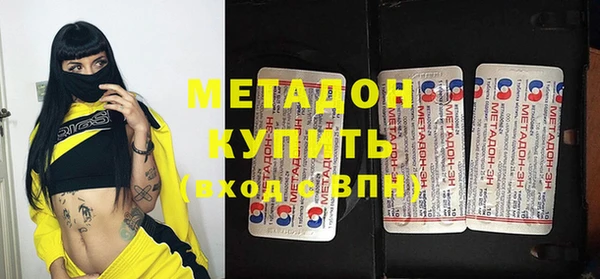 индика Ладушкин