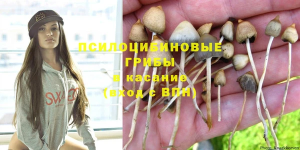 индика Ладушкин