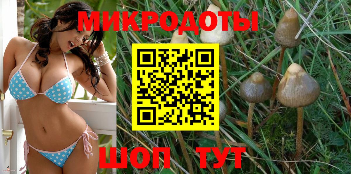 Галлюциногенные грибы ЛСД Ростов-на-Дону