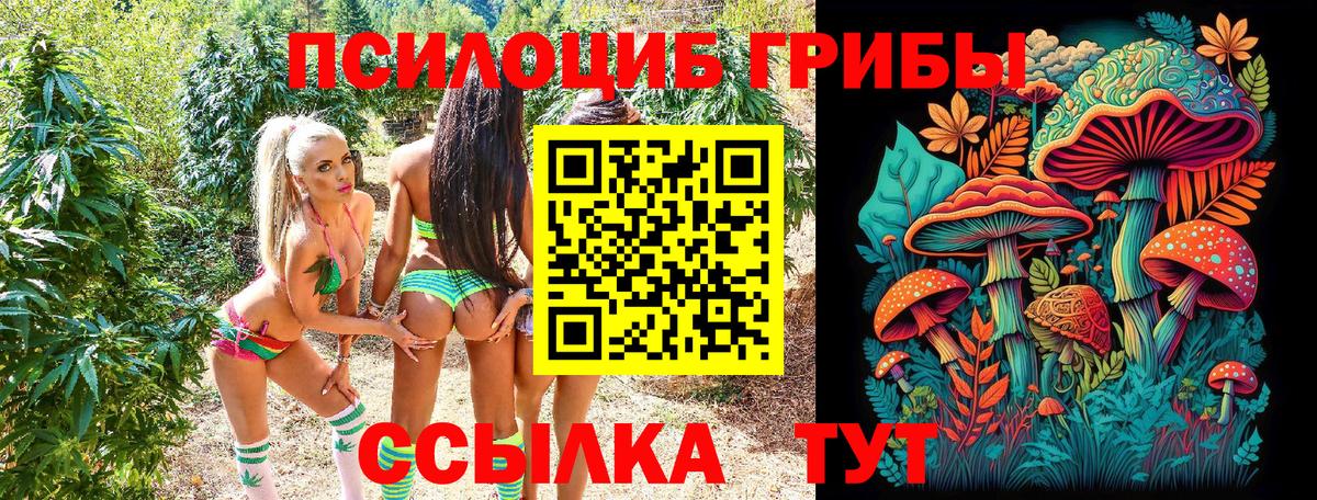 Галлюциногенные грибы Magic Shrooms  Галлюциногенные грибы Cubensis  Ростов-на-Дону 