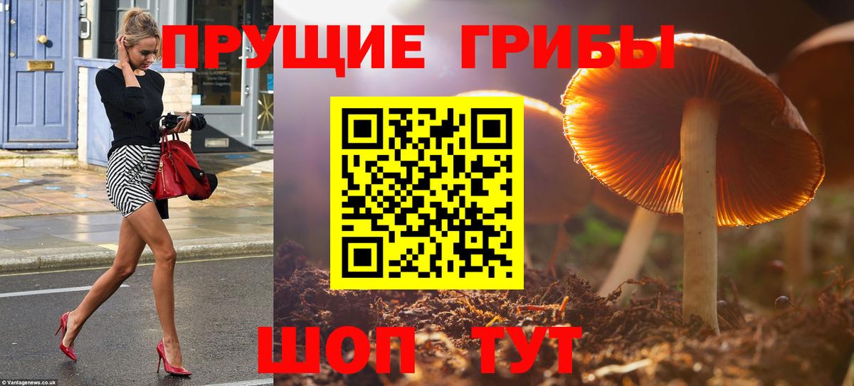 Псилоцибиновые грибы ЛСД  где найти наркотики  Ростов-на-Дону  Вход с VPN 